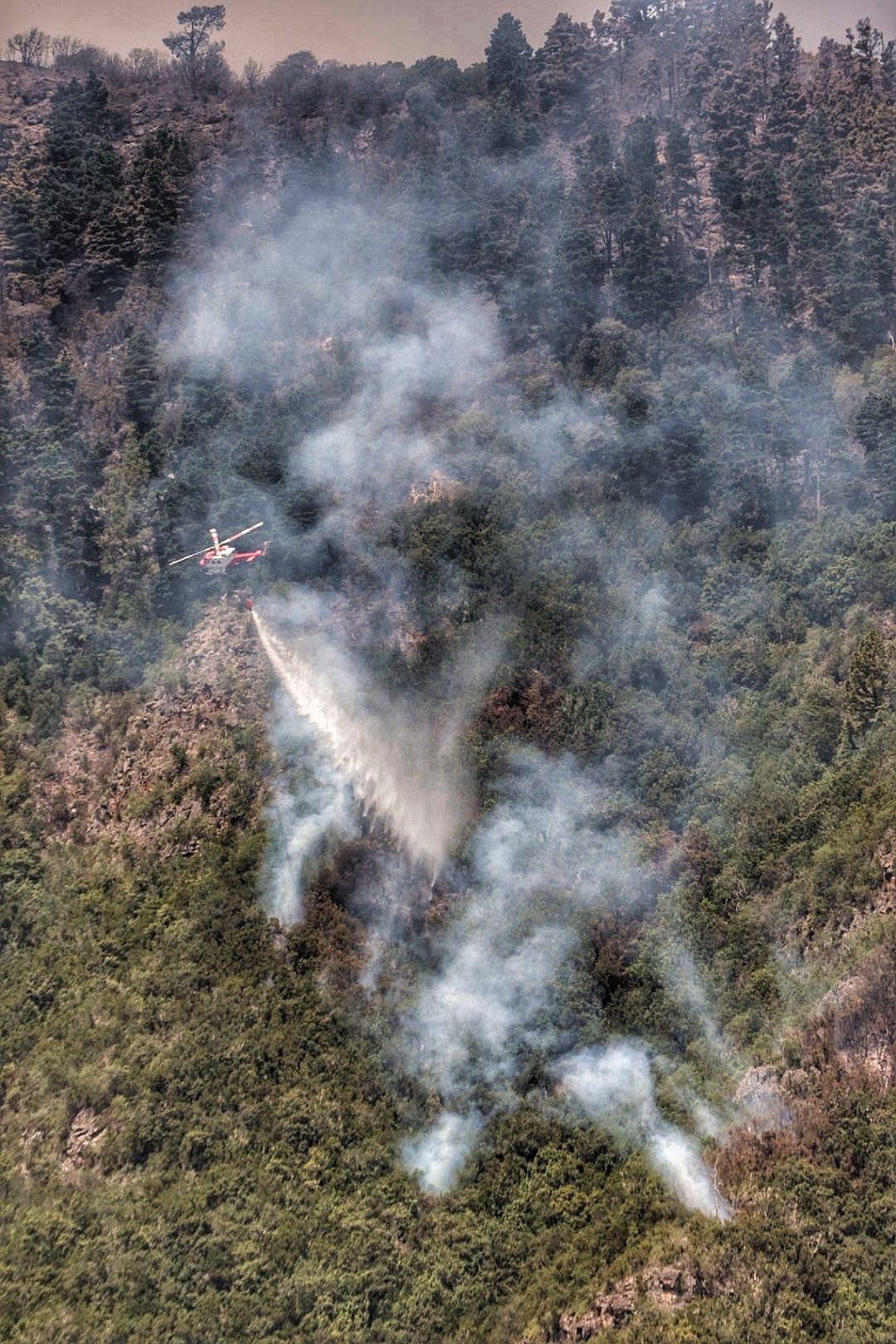 Labores de extinción del incendio en Tigaiga, Tenerife (26/07/2022)