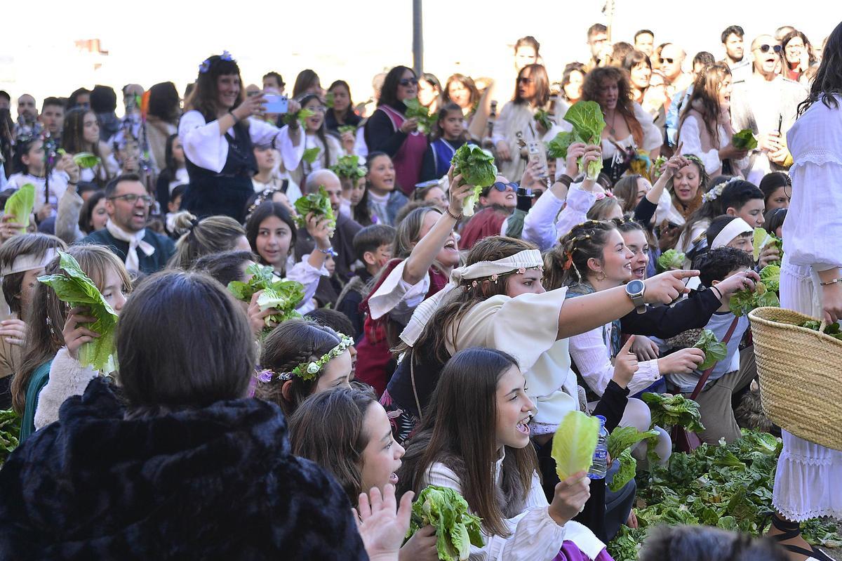 Lechugas al cielo para una batalla campal en Villena