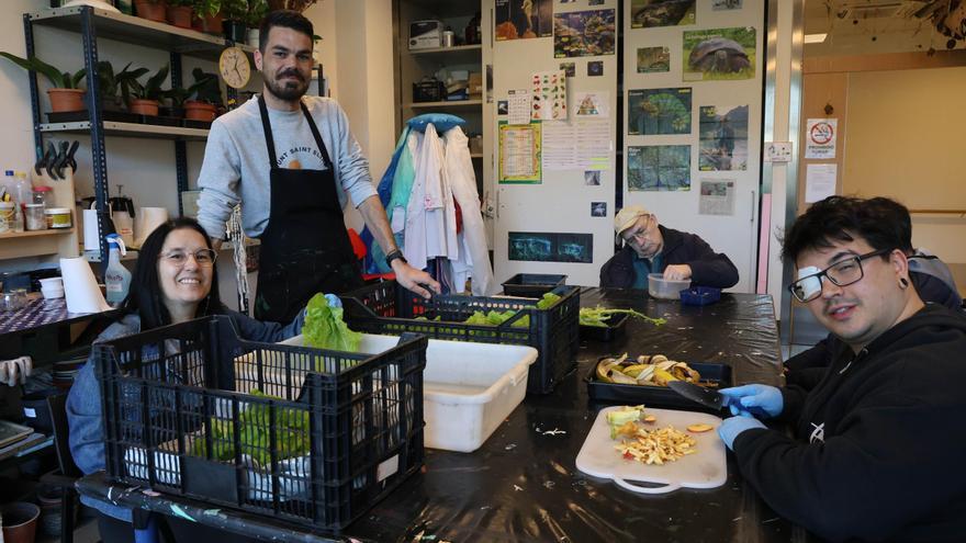 Alento cumple 25 años poniendo la vida en el centro