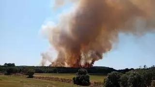 Un incendio en Vilanova de Meià obliga a confinar Boada, Montargull, Tòrrec y Lluçars