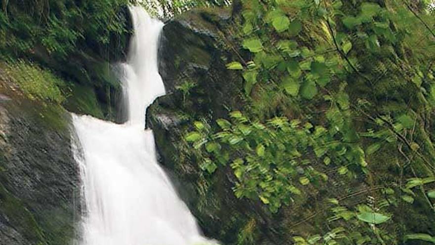 La caída de agua más alta se halla en un recodo del cauce y a ella se llega desde el acceso a la depuradora de Silleda,