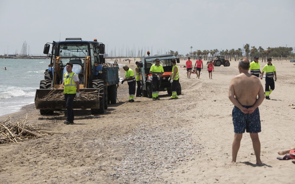 Carrera a contrareloj para tener a punto la playa de Canet d'En Berenguer