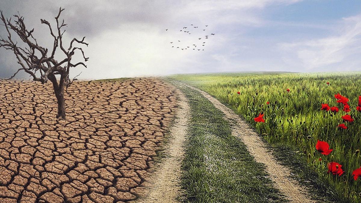 Causas del cambio climático.