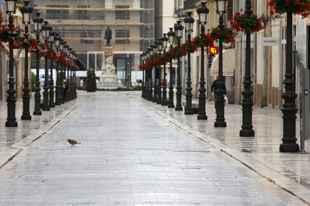 Pasan los días de confinamiento y la situación de la ciudad sigue siendo desértica. La siempre frecuentada calle Larios, la Alameda, principal vía de tráfico tanto privado como público del centro de la ciudad, y el bullicioso mercado de Atarazanas presentan durante el estado de alarma provocado por la pandemia de coronavirus una imagen inusual, acentuada por la persistente lluvia de esta semana.