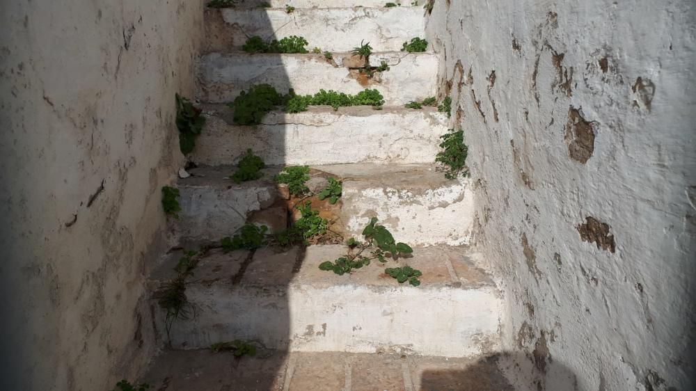 Degradación y abandono en les Coves de Paterna