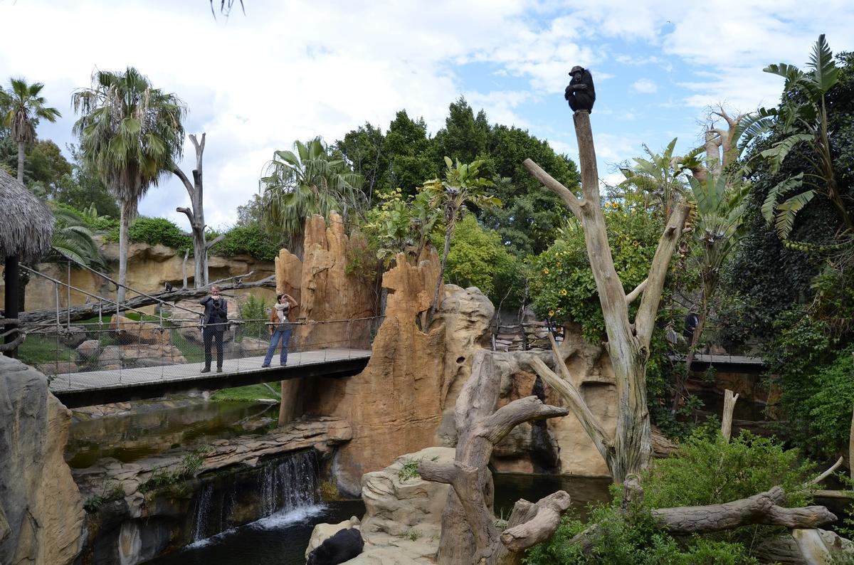 Bioparc Fuengirola.