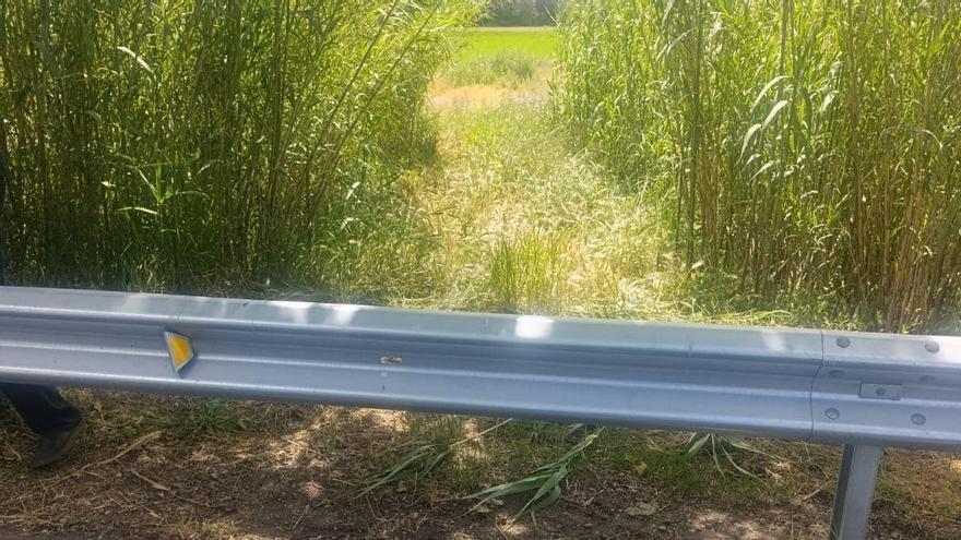 Reclamen a la Diputació de Girona que retiri les baranes que bloquegen l'accés a uns camps a Castelló d'Empúries