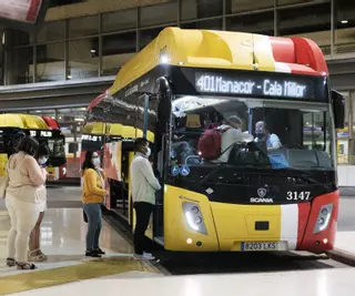 Un conductor del TIB ante las agresiones en los buses de Mallorca: «He perdido pelo y peso desde que trabajo aquí»