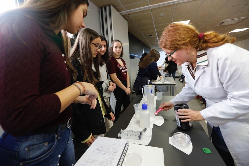 Día de la niña y la ciencia en el Vivarium