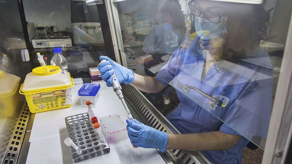 Laboratory of the Hospital de Sant Joan d'Alacant where tests are carried out for the detection of coronavirus. | Laboratory of the Hospital de Sant Joan d'Alacant where tests are carried out for the detection of coronavirus. |