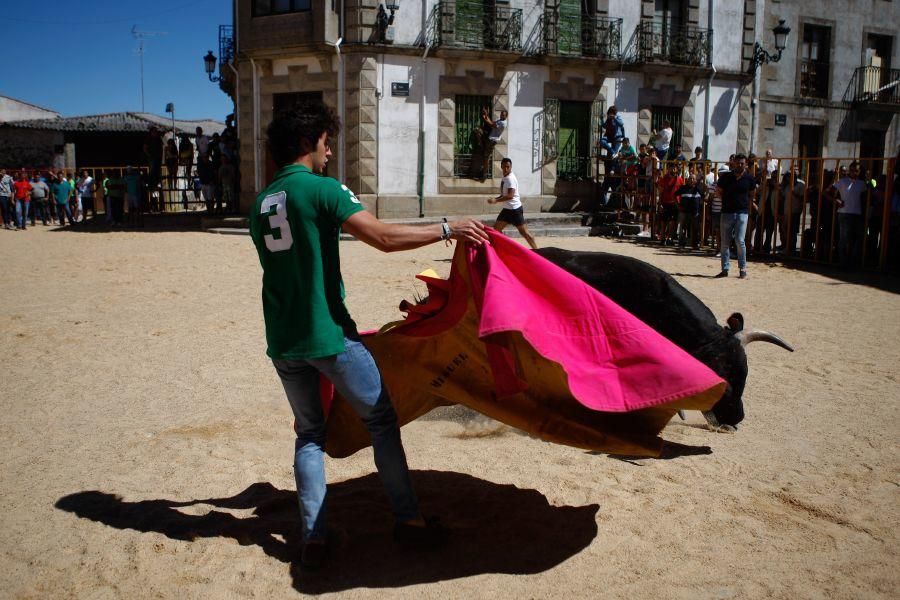 Encierro urbano en Bermillo de Sayago