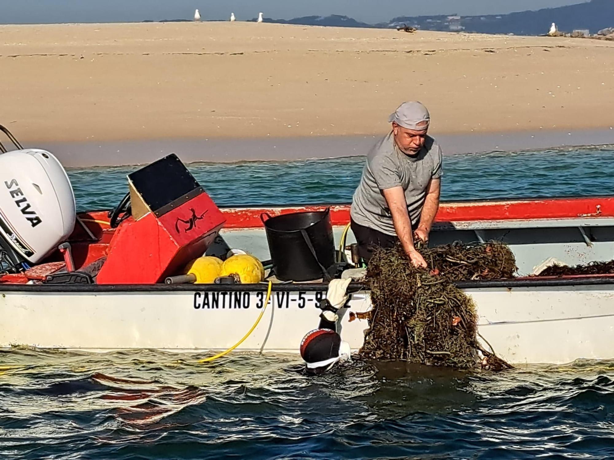 Los trabajos de eliminación de basura marina llevados a cabo por el programa Plancton en Guidoiros Areoso.