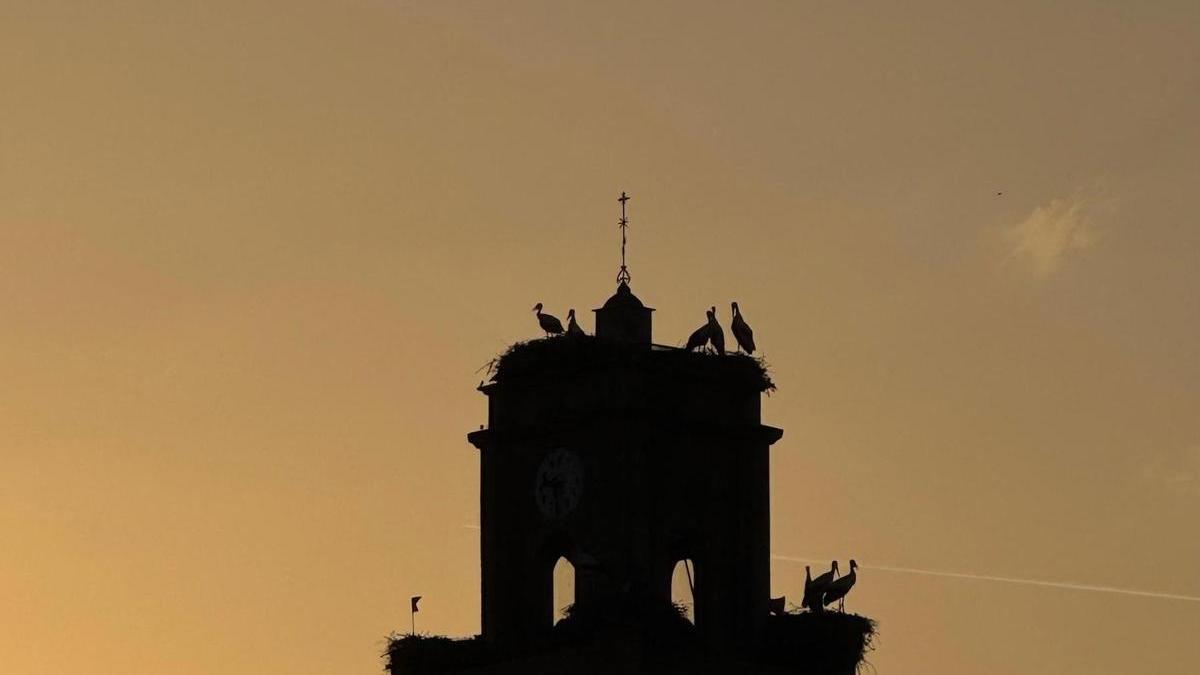 Imagen del campanario de la iglesia de Villa del Rey.