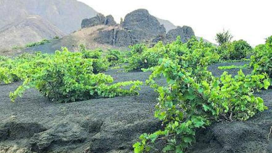 Vivir bajo volcanes