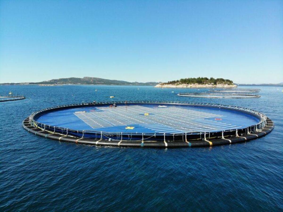 Probarán en Canarias una planta de energía solar flotante