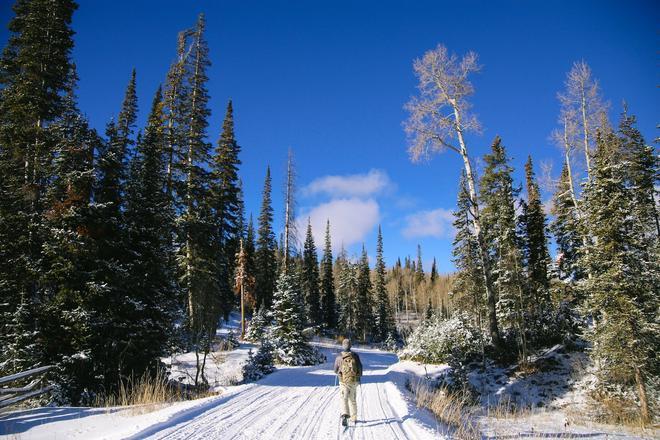 Aspen, salvaje oeste