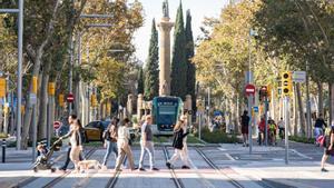 "Muchos ciudadanos esperamos que el tranvía llegue ya a Francesc Macià"