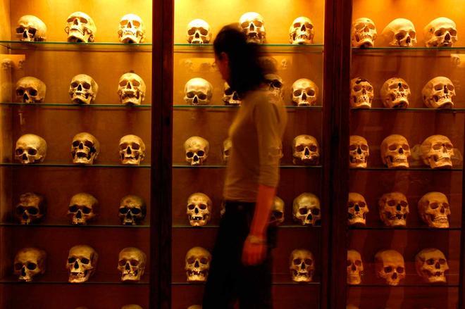 Museo Canario