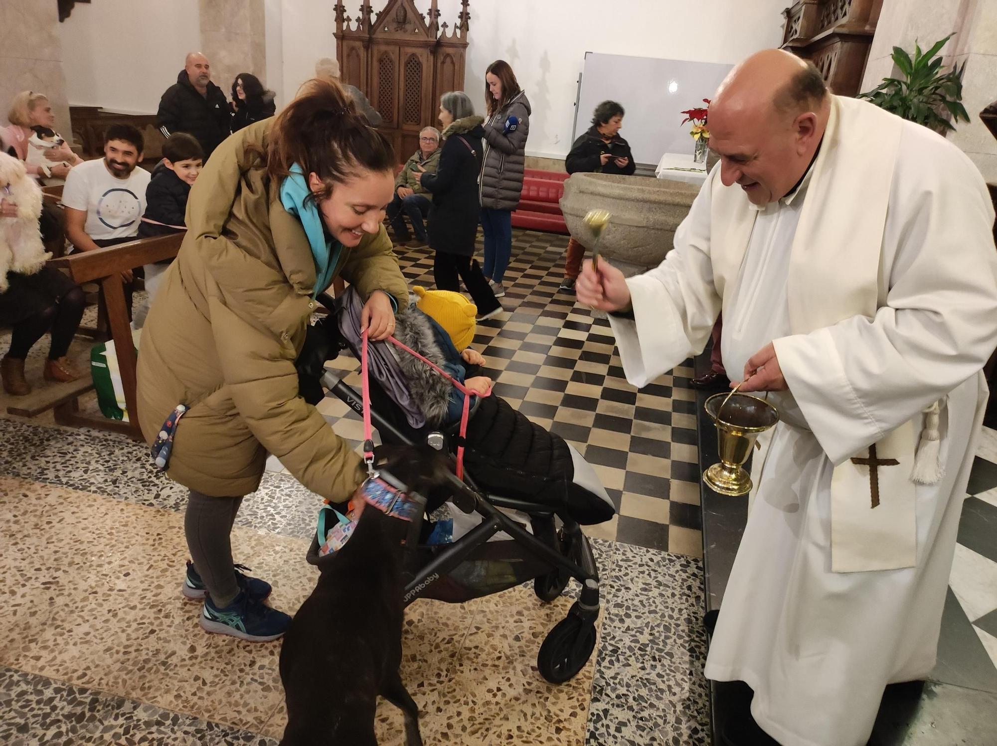 En imágenes: Así fue la bendición de mascotas por San Antón, en Tapia