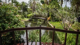 La prensa británica se rinde a los encantos de Tenerife