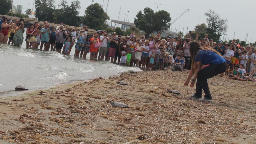 Exodo de ayuda hacia los pueblos afectados en la pasarela de La Torre, jóvenes organizandose