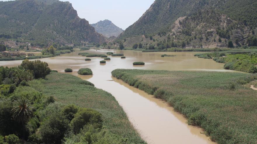 3,2 millones de euros para evitar las inundaciones en la cuenca del Segura