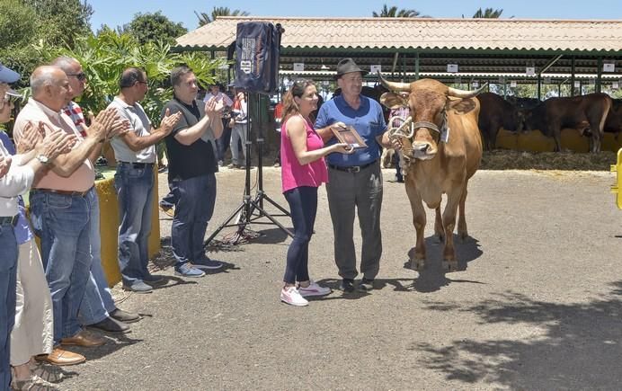 ARUCAS GRAN CANARIA A 28/05/2017 Entrega de premios concurso de ganado del Cabildo de Gran Canaria. FOTO: J.PÉREZ CURBELO