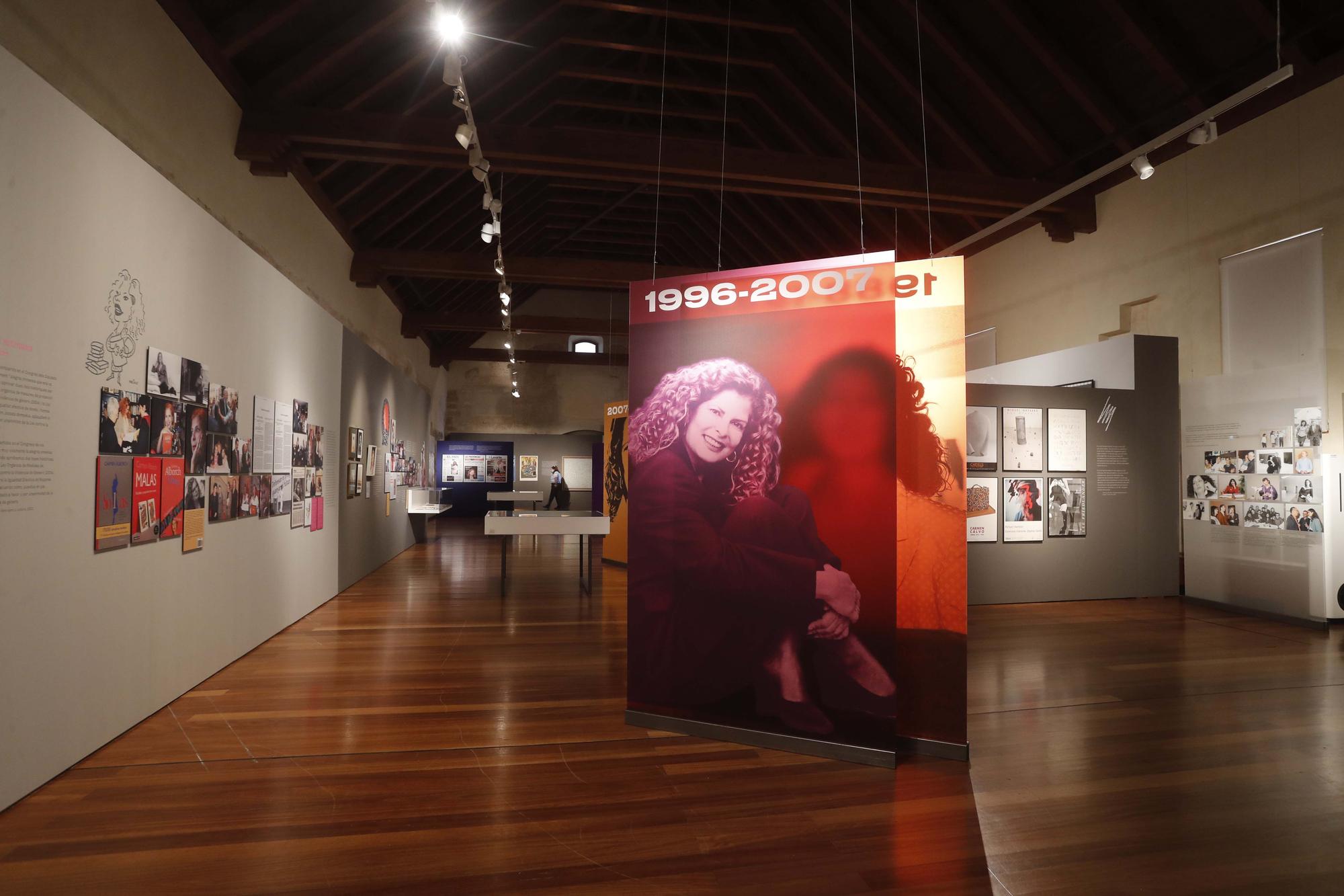 Exposición 'Carmen Alborch, L´art i la Vida'