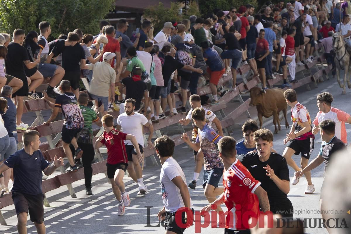 Primer encierro de las Fiestas de Moratalla