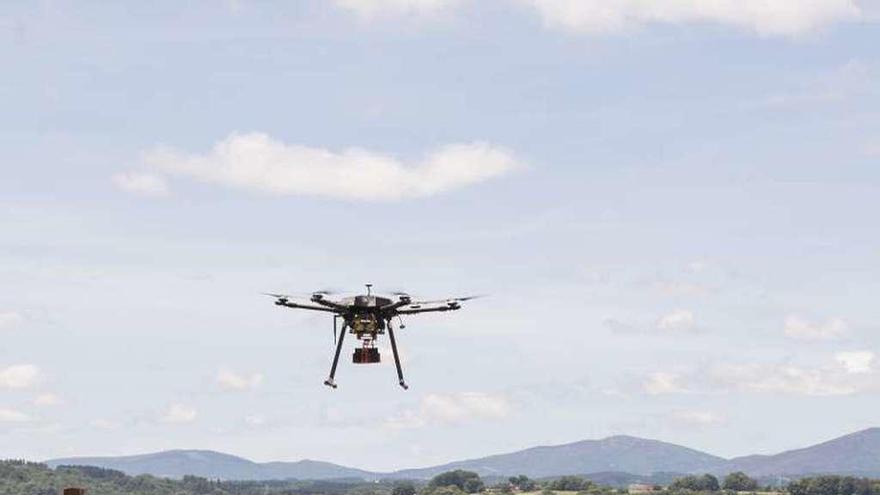 El dron, volando sobre los viñedos de Ponte da Boga. // FdV