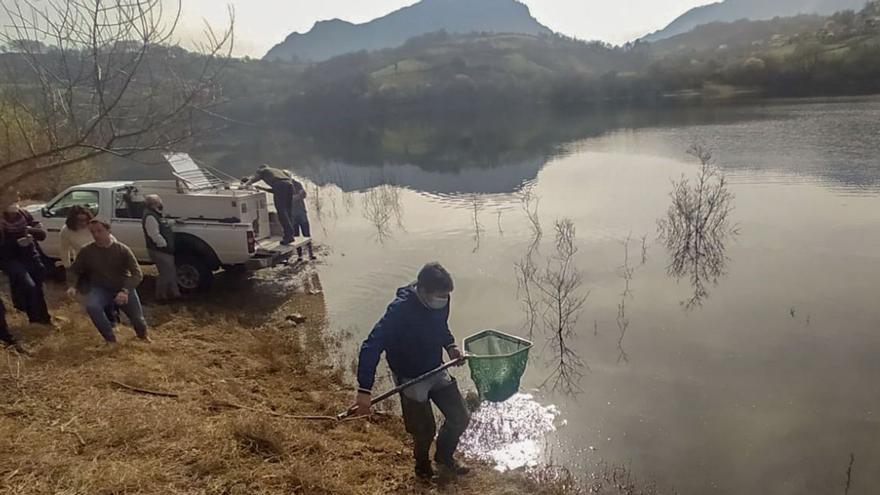 Casi mil pescadores abarrotan el coto de los Alfilorios, repoblado con trucha autóctona