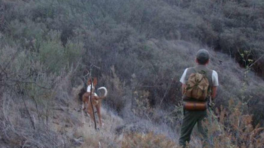 La prueba para la obtención de la licencia de caza en La Gomera será en mayo