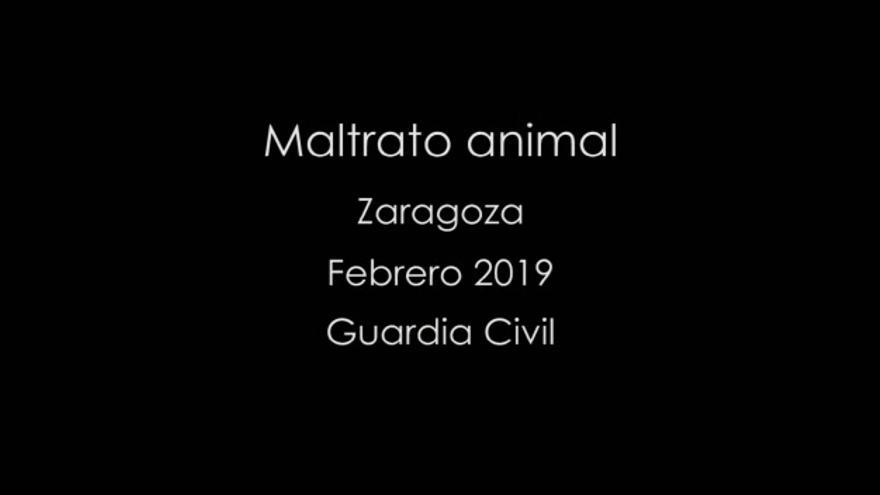 Investigado por maltrato animal en El Burgo de Ebro