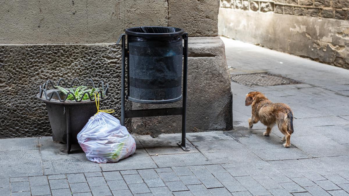 Papelera en el barrio Gòtic de Barcelona, con una bolsa de basura abandonada a su lado.