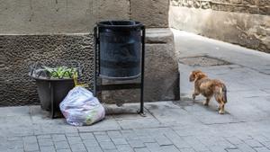 Barcelona ha retirat gairebé 600 papereres en set anys