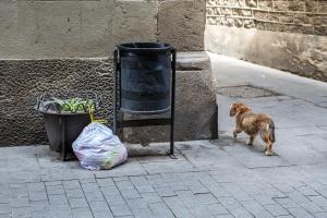 Barcelona ha retirat gairebé 600 papereres en set anys