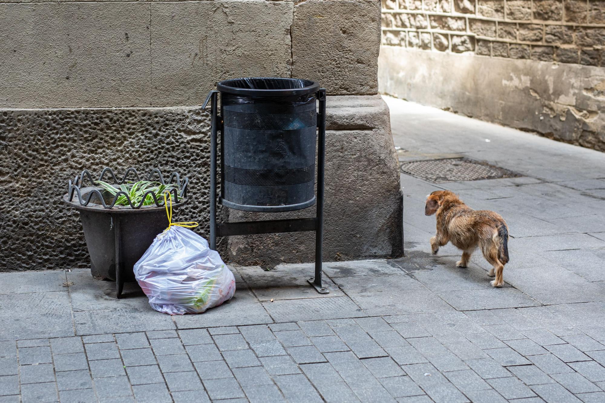 Papelera en el barrio Gòtic de Barcelona, con una bolsa de basura abandonada a su lado.