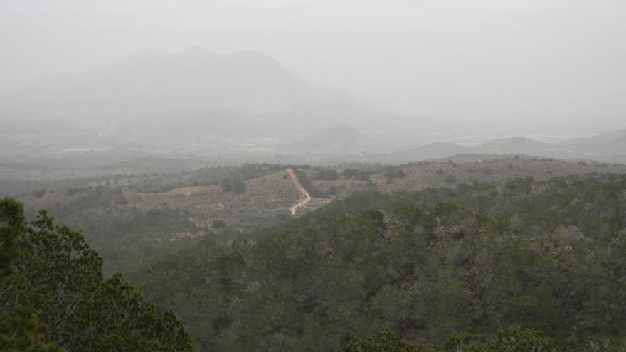 Zona de monte en La Alcayna.