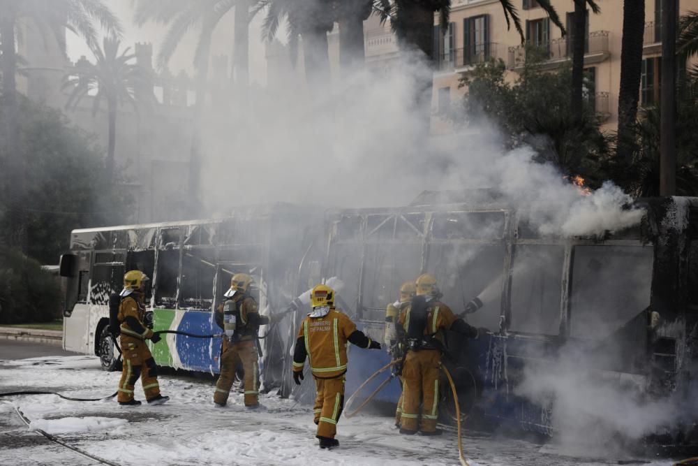 Stadtbus brennt vor der Kathedrale von Palma ab