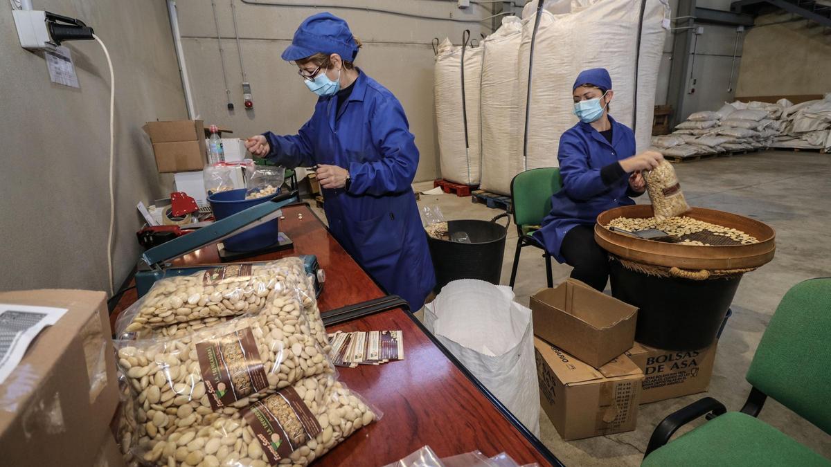 Labores de envasado de almendras en la cooperativa La Trencadora.