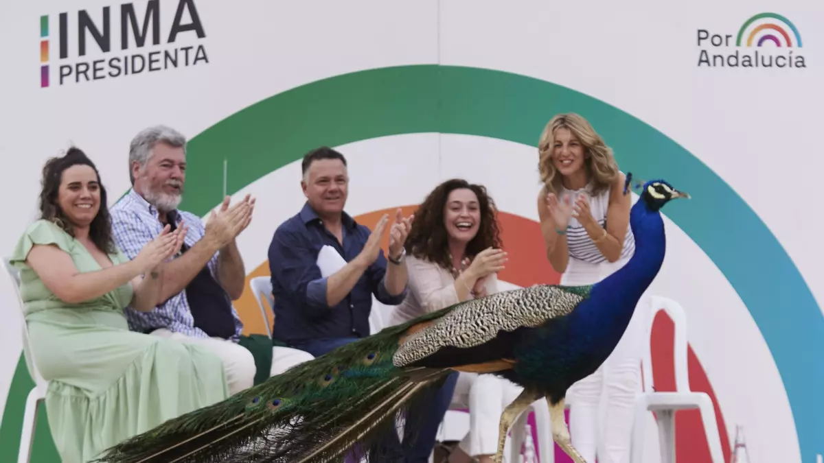 La izquierda andaluza exhibirá la soledad de Podemos en un gran acto en septiembre