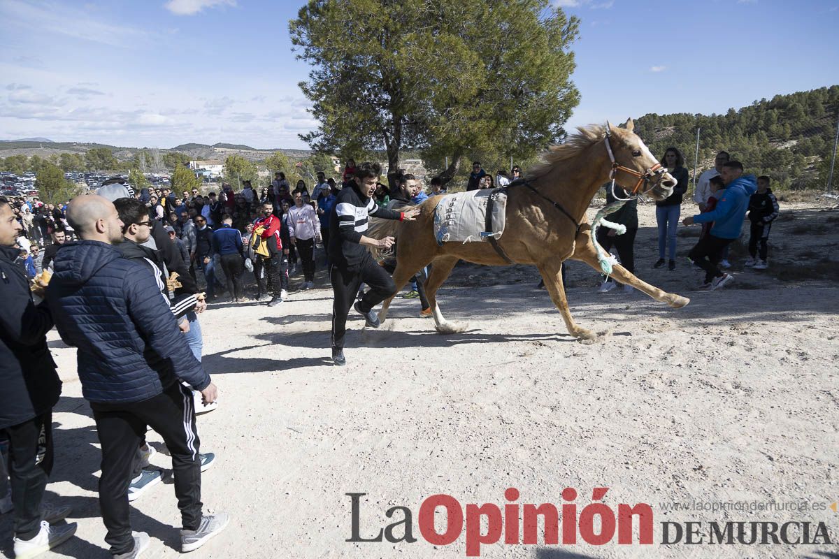 Los Caballos del Vino de Caravaca calientan motores