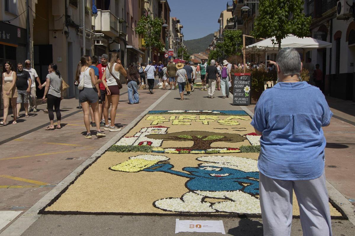 Les catifes d'Arbúcies en imatges
