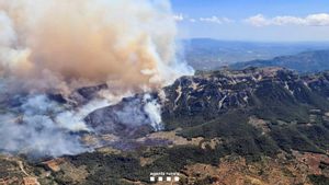 El incendio de alta intensidad de Paüls (Tarragona)