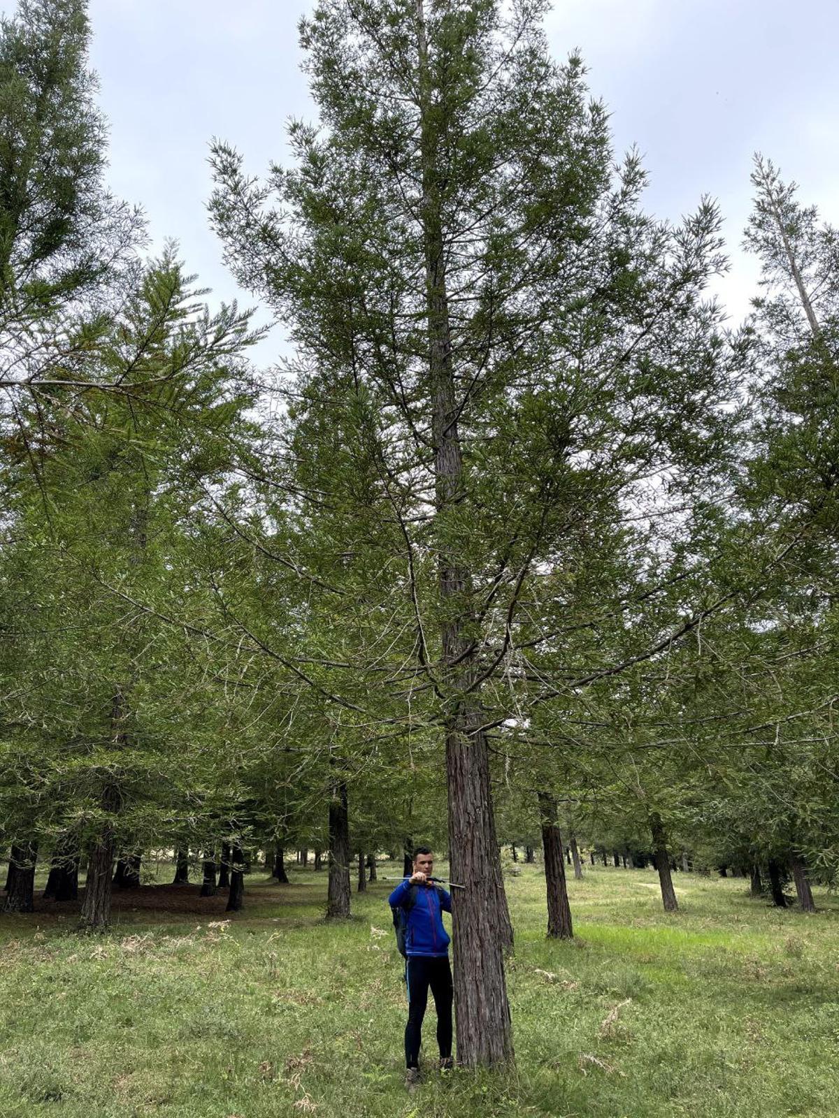 Mario García Ontiyeros, realizando mediciones en el bosque.