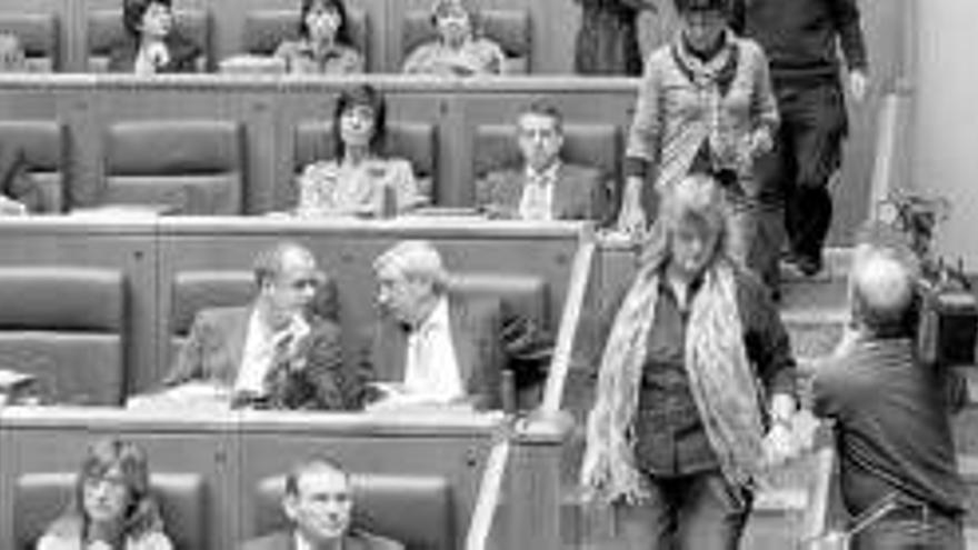 El Parlamento vasco se disculpa por el desamparo de las víctimas