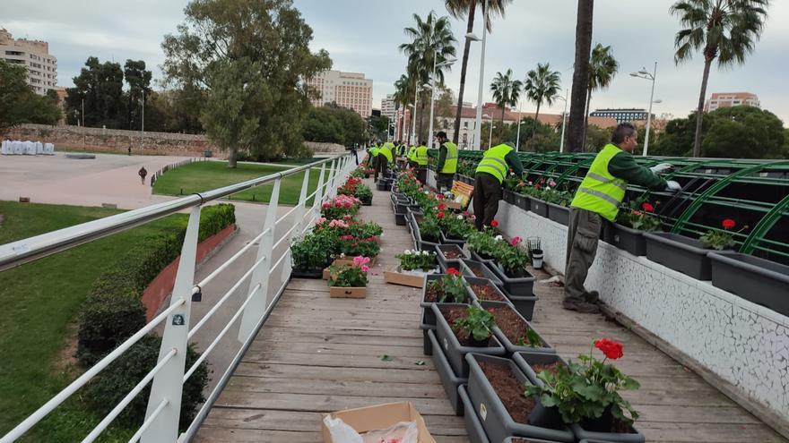 El organismo Parques y Jardines aprueba las bases para estabilizar su plantilla