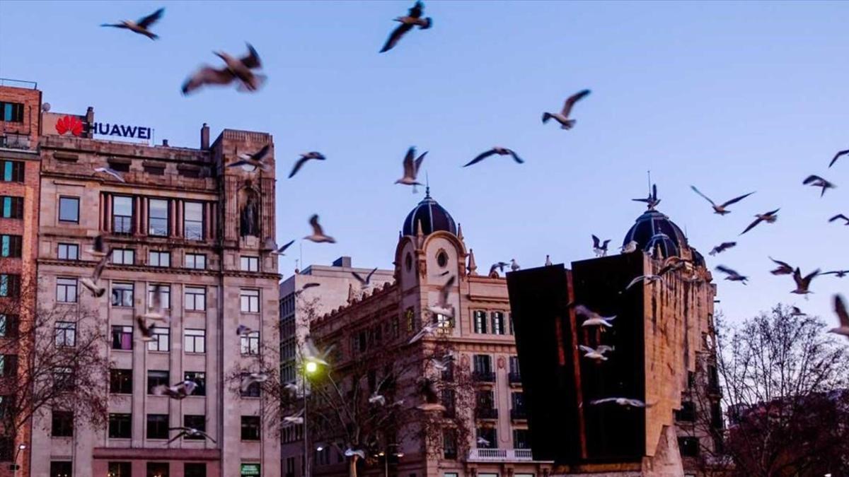 Edificio en plaza Catalunya que podría albergar pisos turísticos