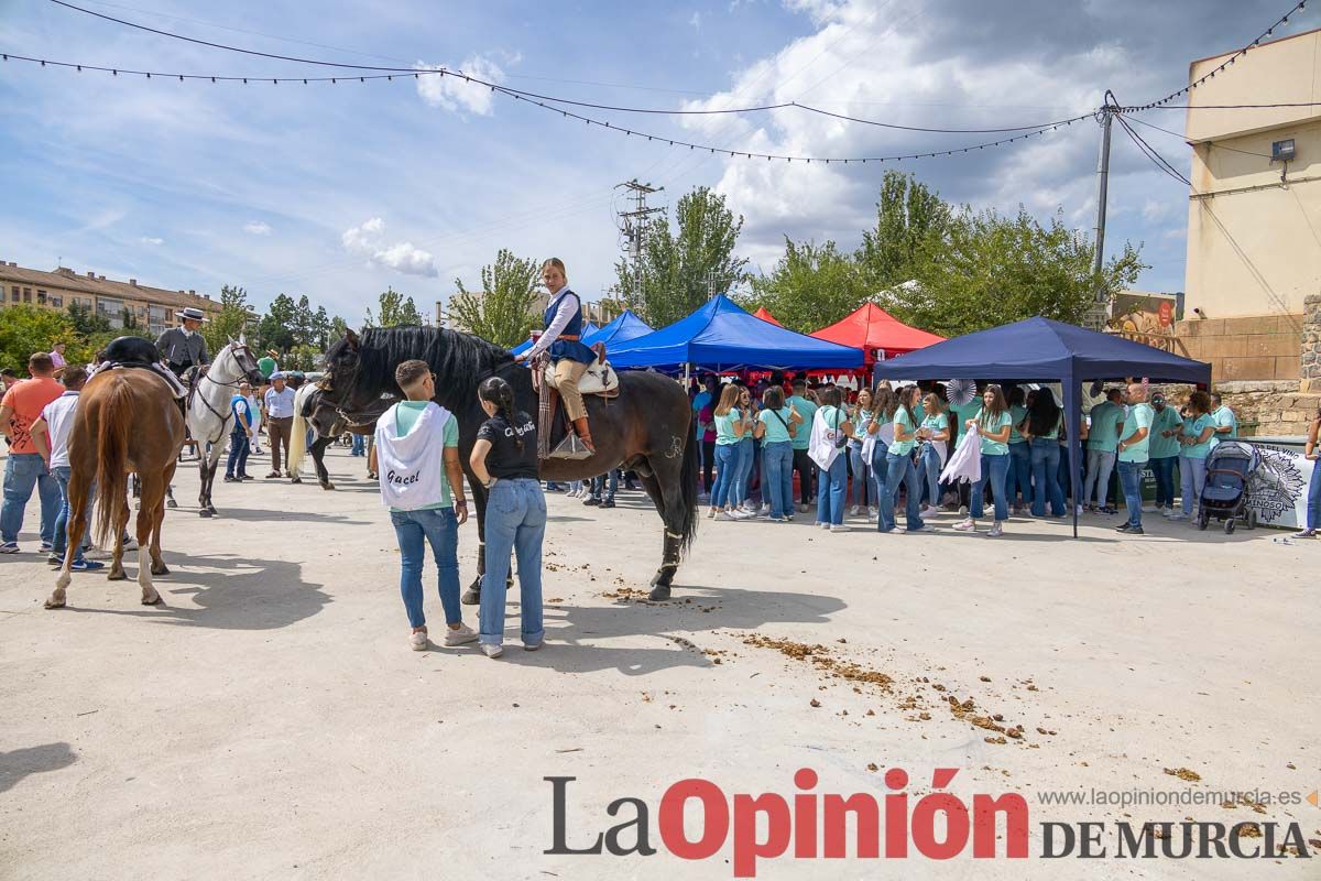 Romería del Bando de los Caballos del Vino