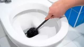 Este es el truco definitivo para limpiar la escobilla del váter y que quede como nueva